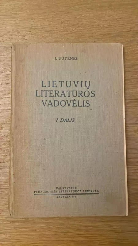 Lietuvių literatūros vadovėlis. I dalis - Melvin Burgess, knyga 2