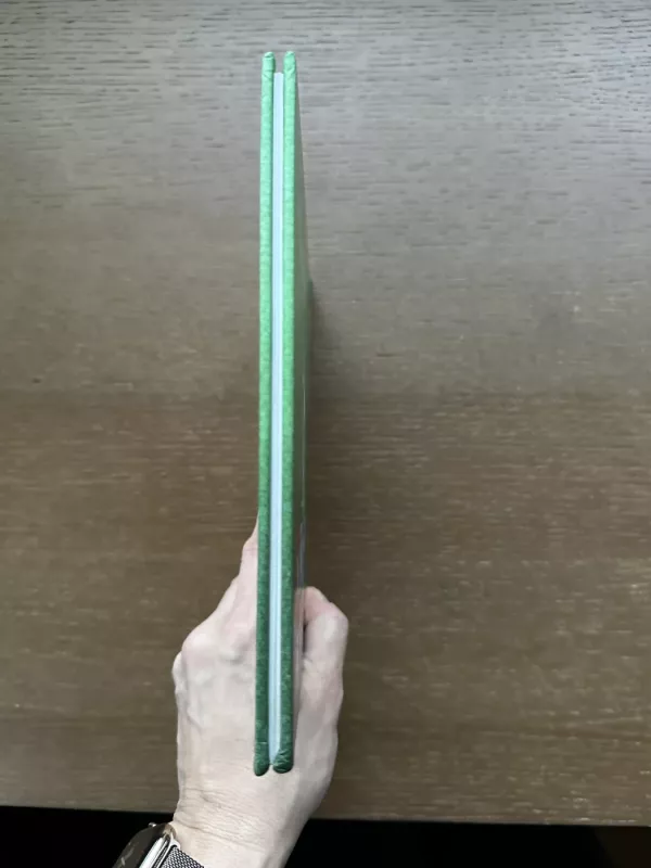 Kai jaučiu pavydą - Trace Moroney, knyga 4