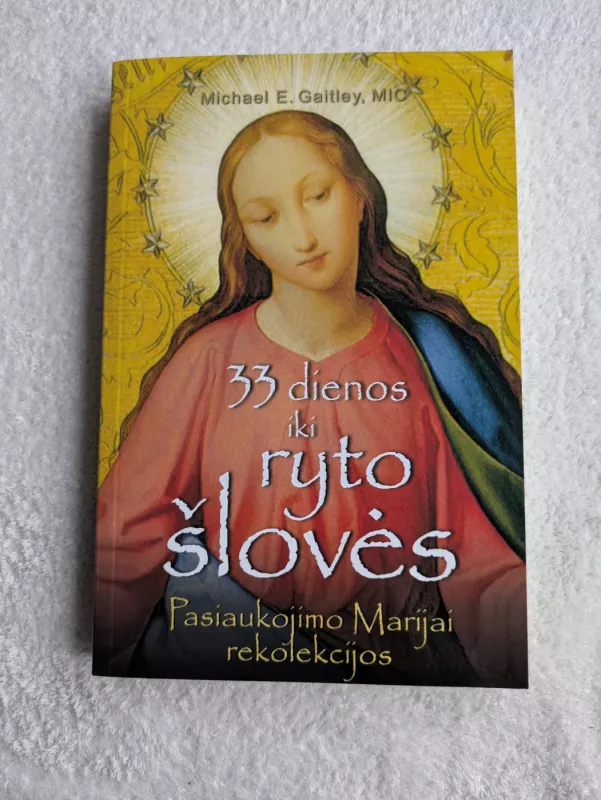 33 dienos iki ryto šlovės - Michael E. Gaitley, knyga 2