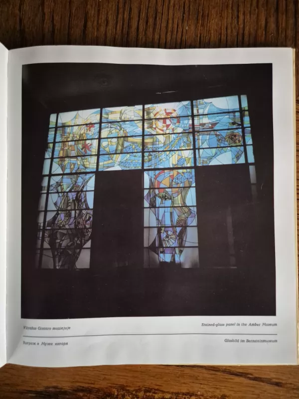 Palanga - Zinas Kazenas, knyga 4