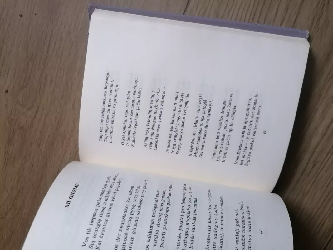 Dieviškoji komedija. Rojus - Aligjeris Dantė, knyga 6