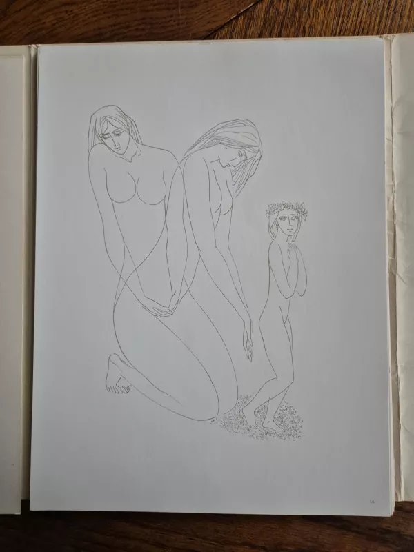 Moters gimimas - Stasys Krasauskas, knyga 3