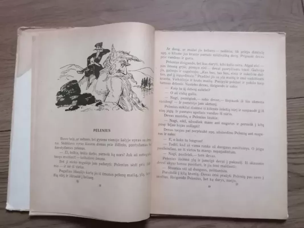 Gruzinų liaudies pasakos - Autorių Kolektyvas, knyga 4