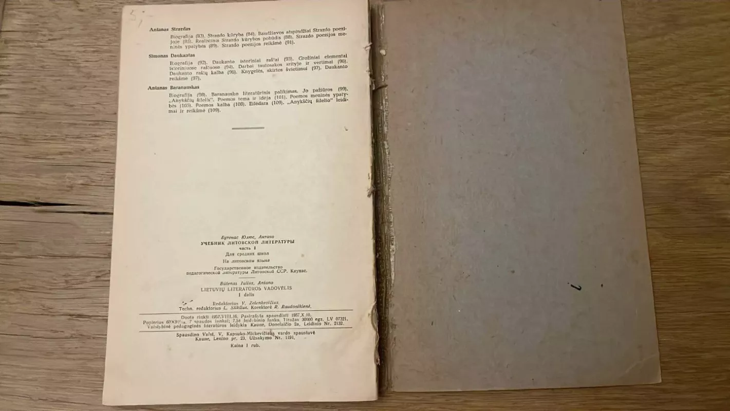 Lietuvių literatūros vadovėlis. I dalis - Melvin Burgess, knyga 6