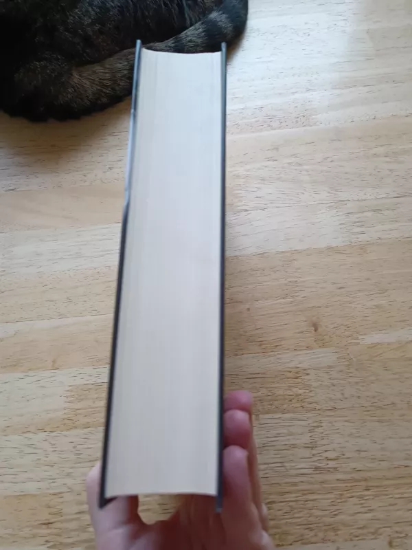 Daugiau niekada - Karen Rose, knyga 5