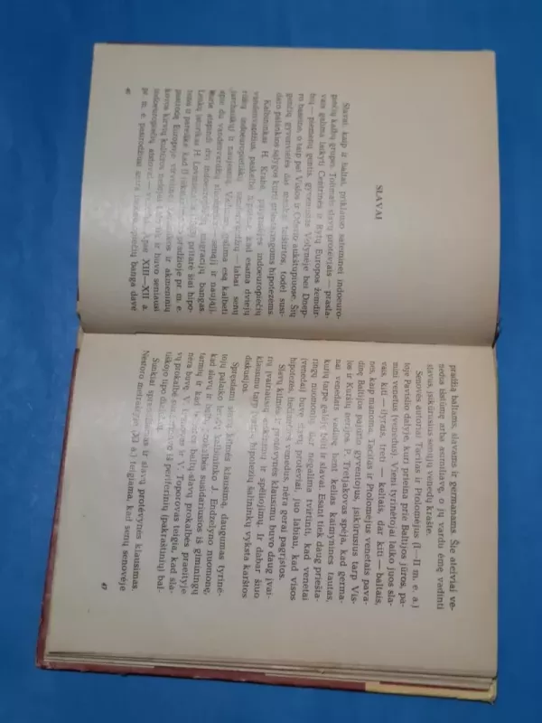 Indoeuropiečiai - Stanislovas Tarvydas, knyga 5