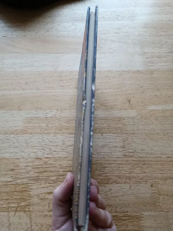 Legendos ir atradimai - V. Malovas, knyga 5