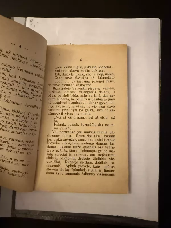Paskenduolė - A. Vienuolis, knyga 4