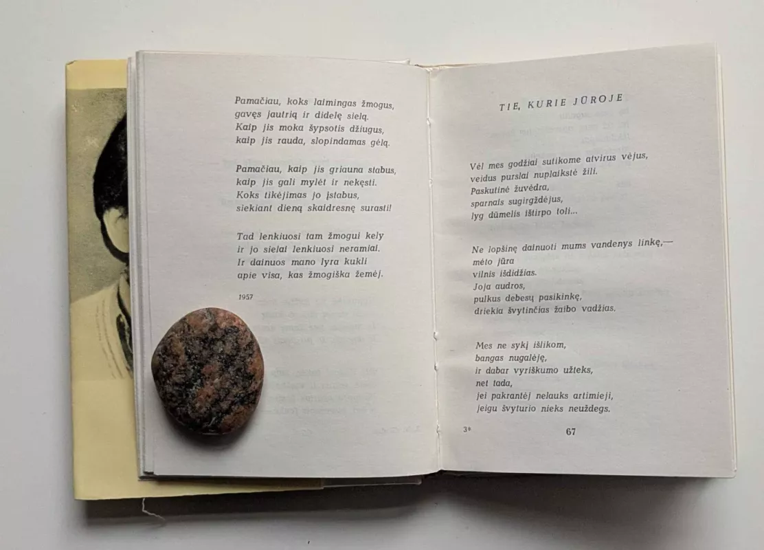 Dienų pašvaistės - Vincas Giedra, knyga 5