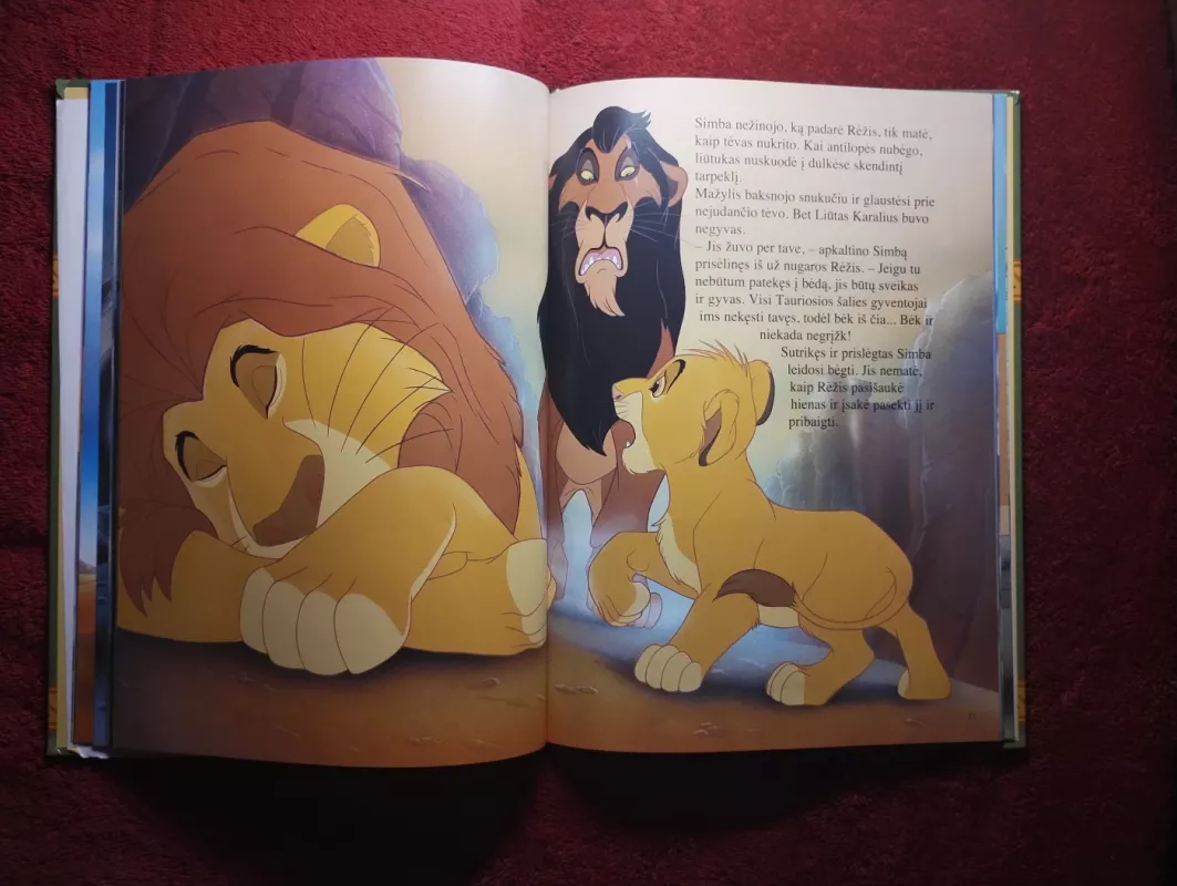 Dama ir valkata - Walt Disney, knyga 6