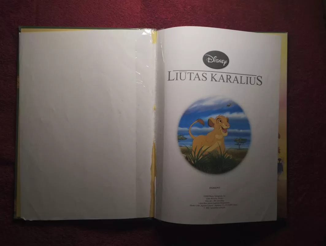 Dama ir valkata - Walt Disney, knyga 4