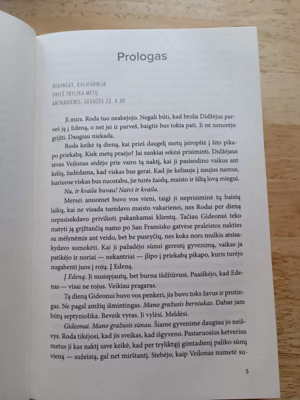 Daugiau niekada - Karen Rose, knyga 4