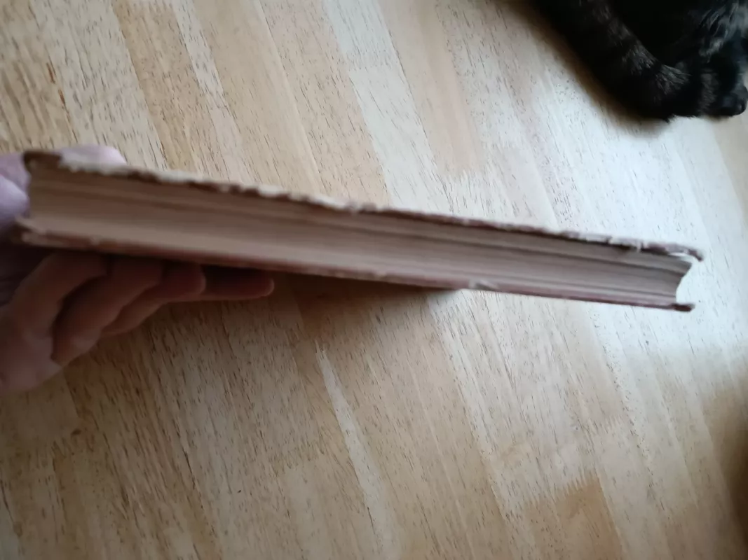 Dievai ir gigantai - Autorių Kolektyvas, knyga 4