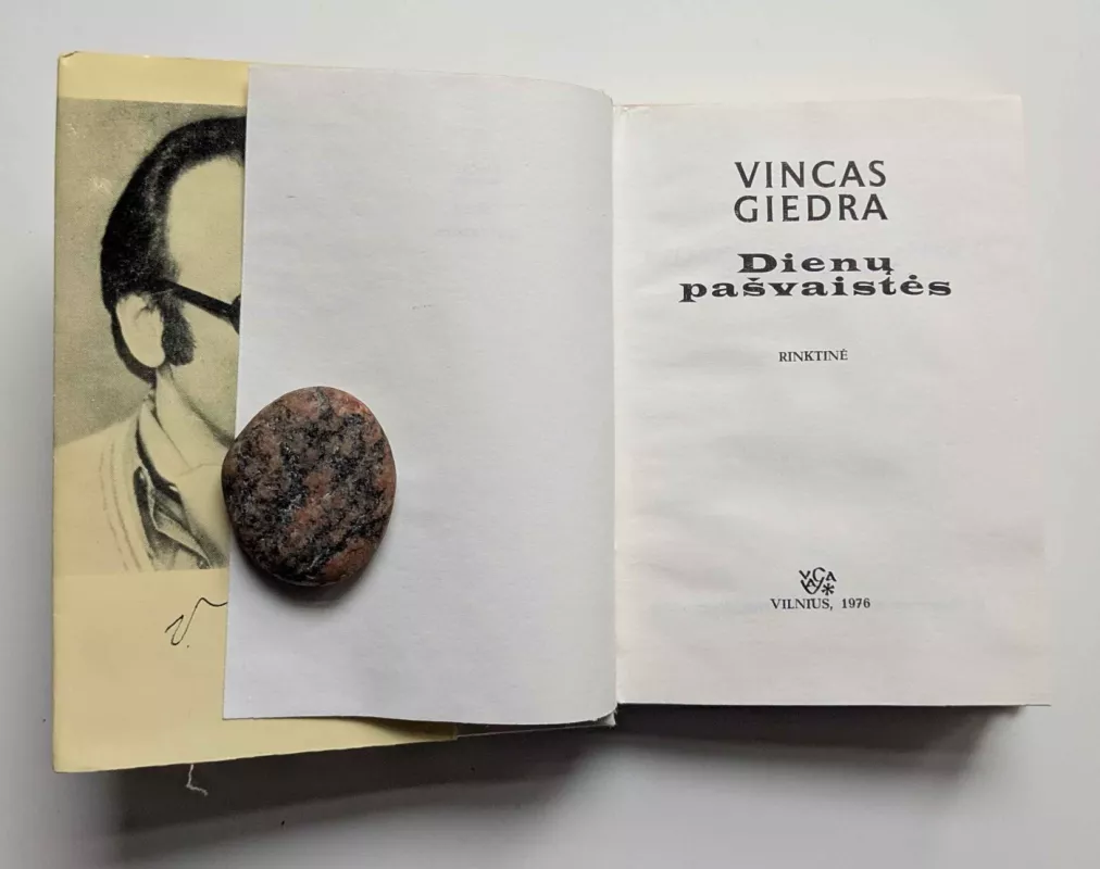 Dienų pašvaistės - Vincas Giedra, knyga 4