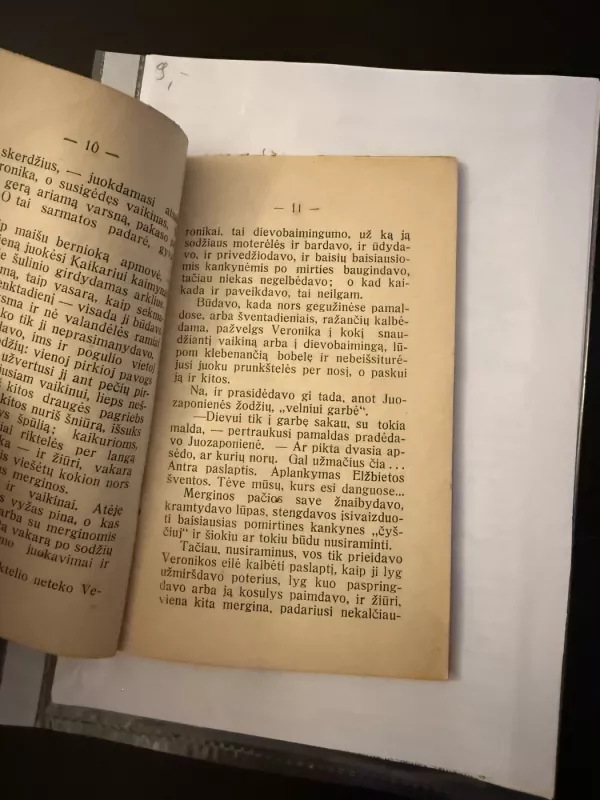 Paskenduolė - A. Vienuolis, knyga 5