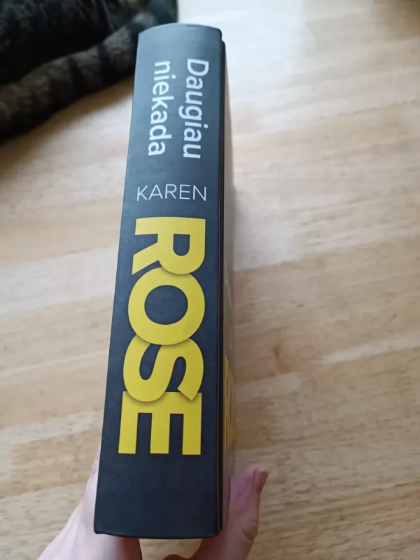 Daugiau niekada - Karen Rose, knyga 3