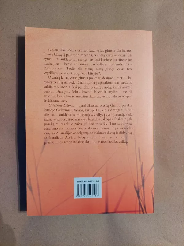 Geležinis Džonas: knyga apie vyrus - Robert Bly, knyga 3