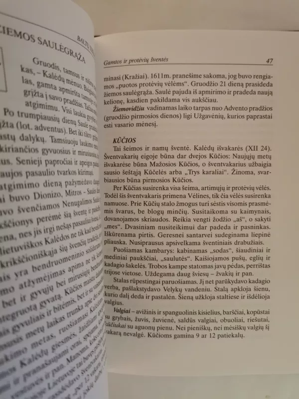 Lietuvių pasaulėjauta: papročiai, apeigos, ženklai - Jonas Trinkūnas, knyga 5