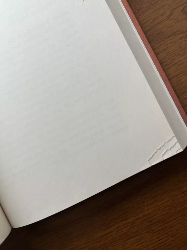 Griovys - Herman Koch, knyga 4