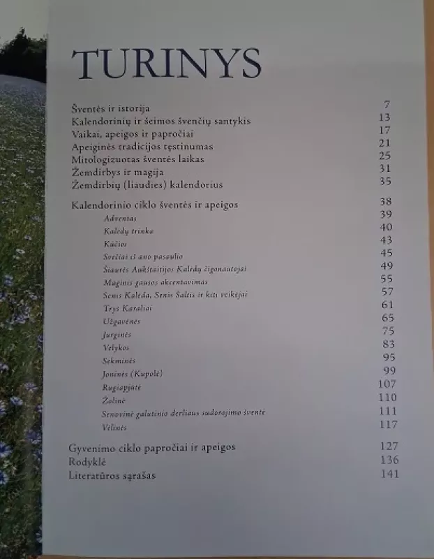 Vaikams apie senąsias lietuvių šventes - Arūnas Vaicekauskas, knyga 3