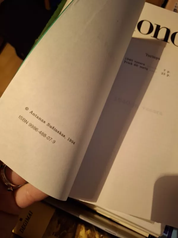 1940-jų vasara - Anatanas Sušinskas, knyga 3