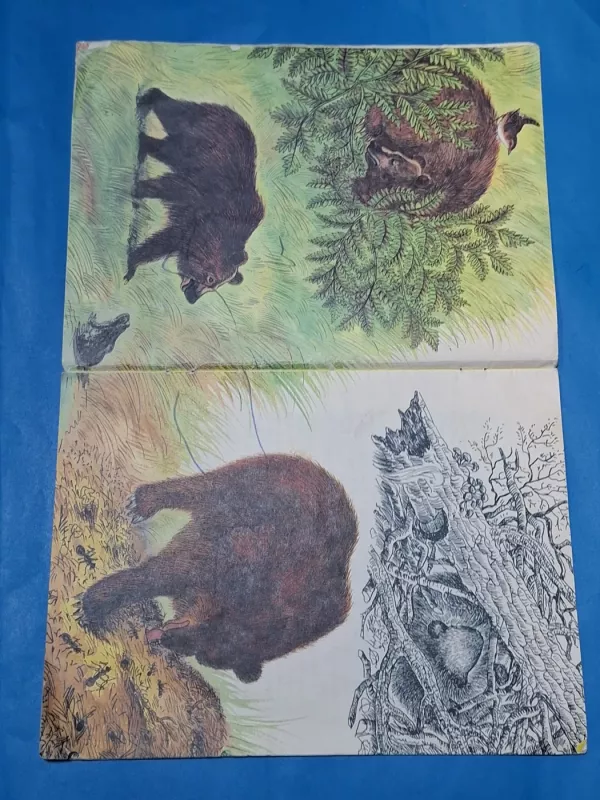 Ir meška, ir skruzdėlytė - Selemonas Paltanavičius, knyga 5