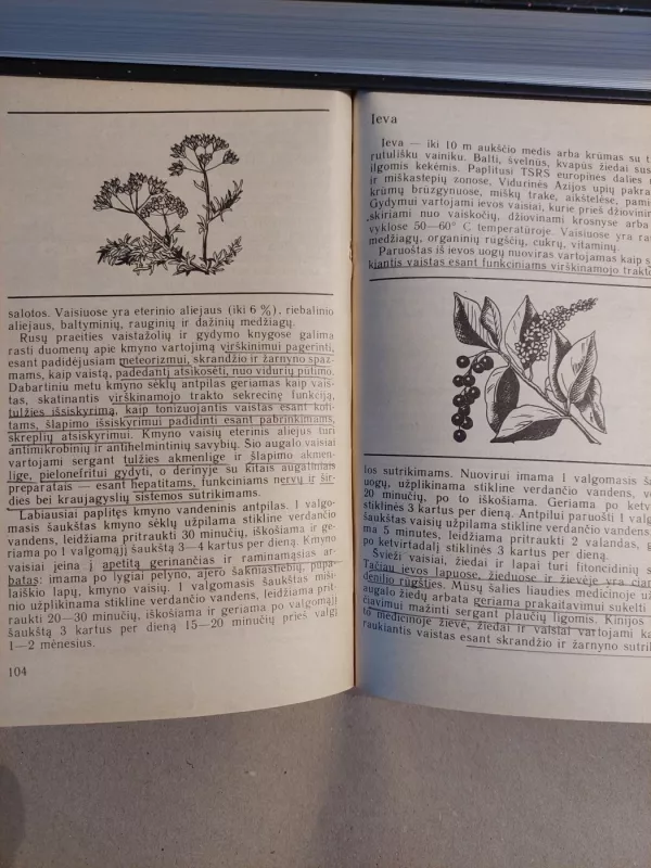Augalai ir sveikata - Vladimiras Korsunas, knyga 4