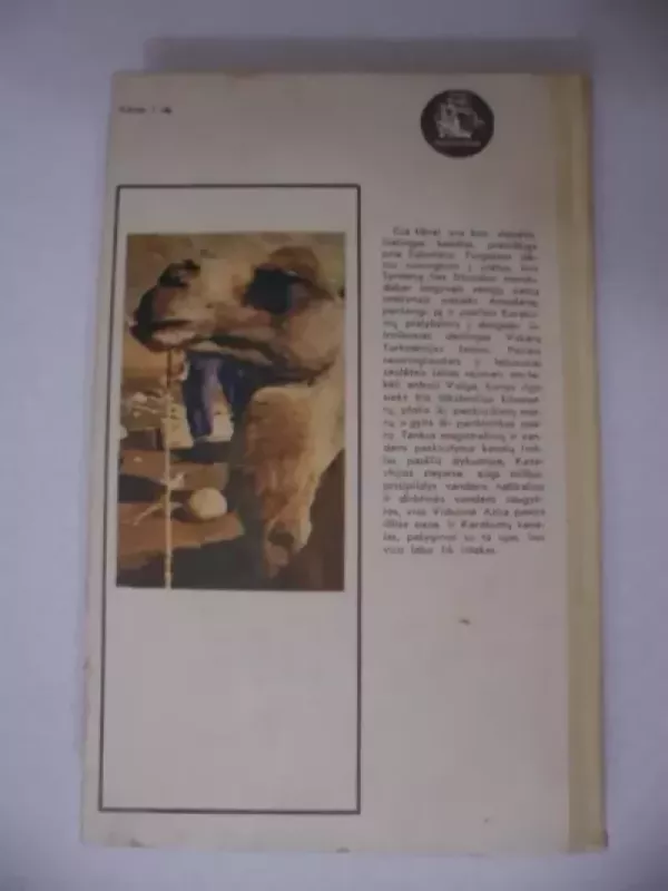 Kelionė į miražų šalį - Vladimiras Rybinas, knyga 4