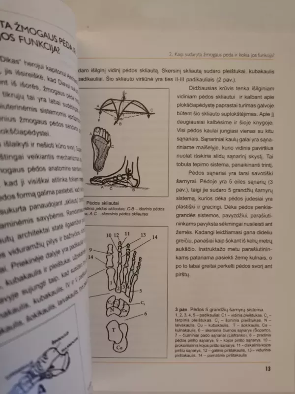 Viskas apie plokščiapėdystę - S. Pranckevičius, ir kiti. , knyga 5