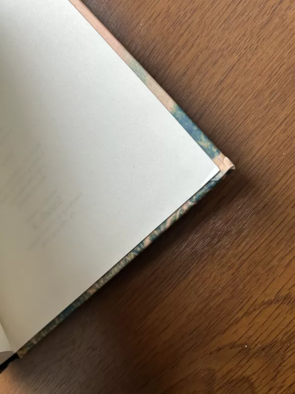 Tu ir esi kolibris - Sandro Veronesi, knyga 3