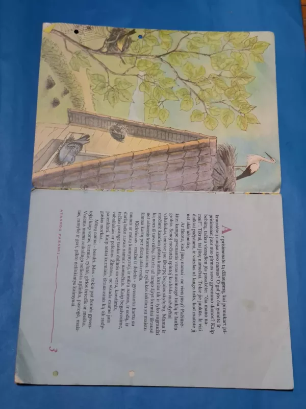 Ir meška, ir skruzdėlytė - Selemonas Paltanavičius, knyga 4