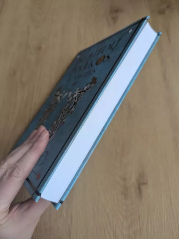 Islandų pasakos ir sakmės - Autorių Kolektyvas, knyga 3