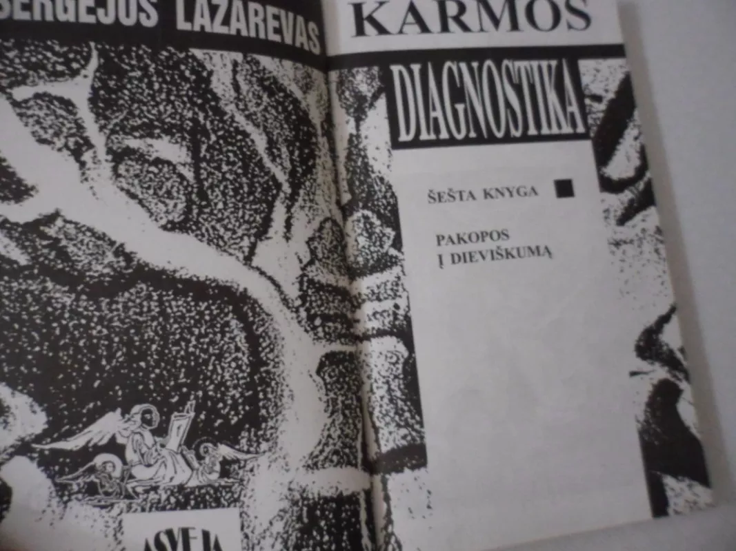 Karmos diagnostika. 6 dalis - Sergėjus Lazarevas, knyga 3