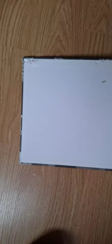 Medinis Vilnius: Wooden Vilnius - Andrius Surgailis, knyga 4