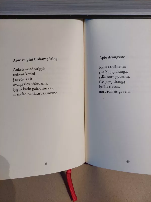 Vikingų išmintis - Autorių kolektyvas, knyga 4