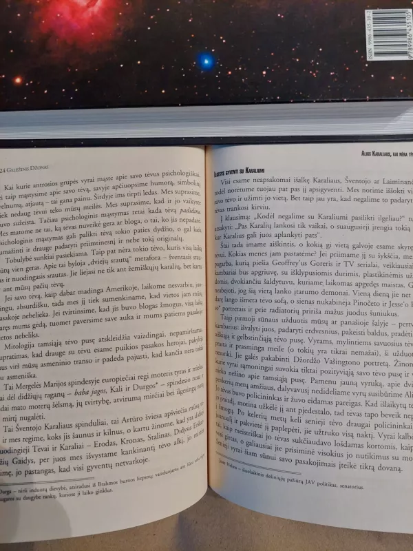 Geležinis Džonas: knyga apie vyrus - Robert Bly, knyga 4