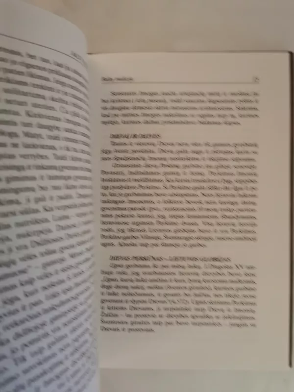 Lietuvių pasaulėjauta: papročiai, apeigos, ženklai - Jonas Trinkūnas, knyga 4