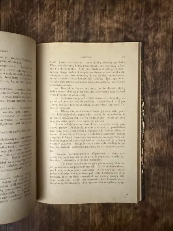 Pajauta, Lizdeikos dukte - M. Bernatowicz, knyga 6