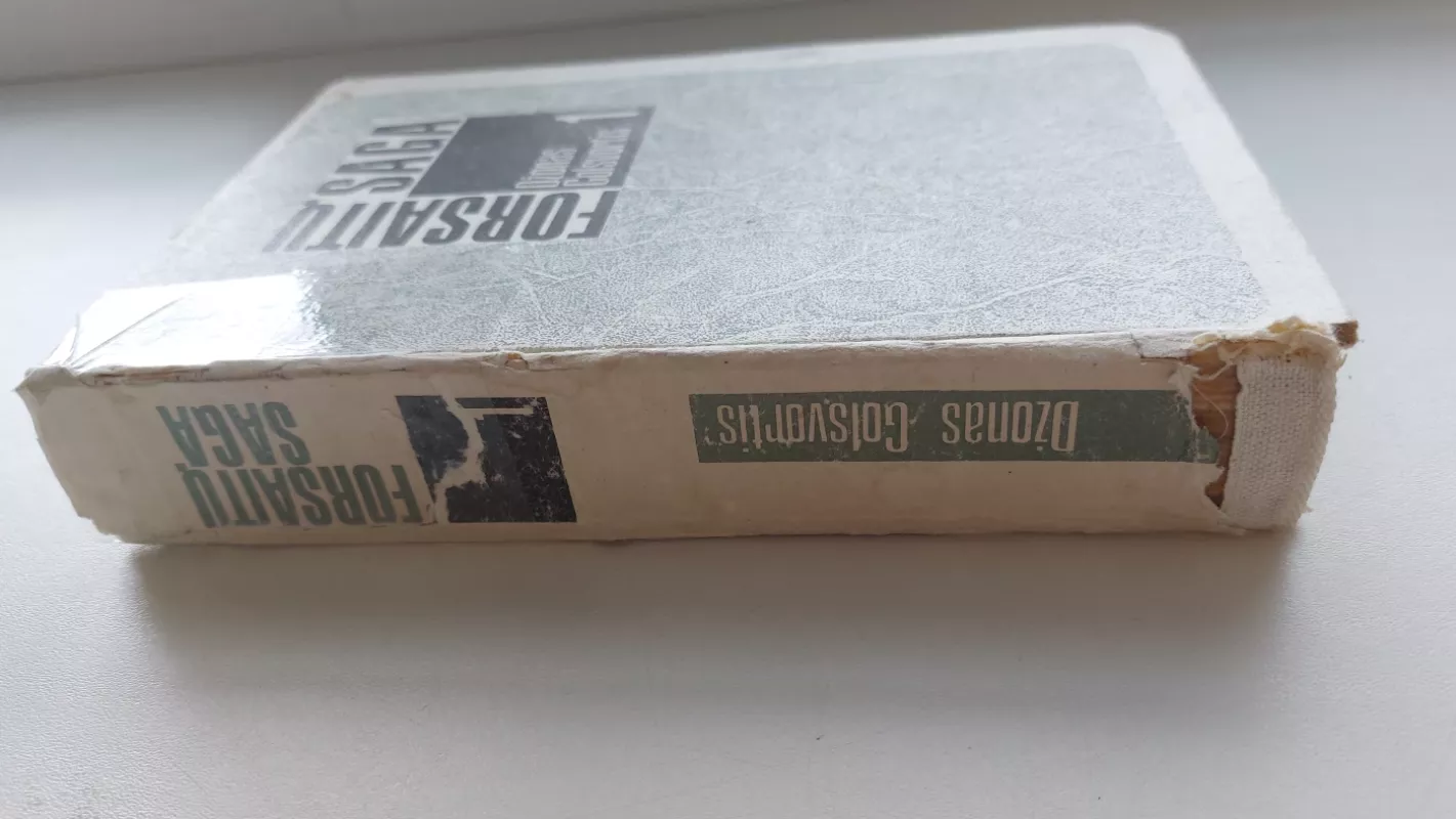 Forsaitų saga (I ir II tomai) - Džonas Golsvortis, knyga 3