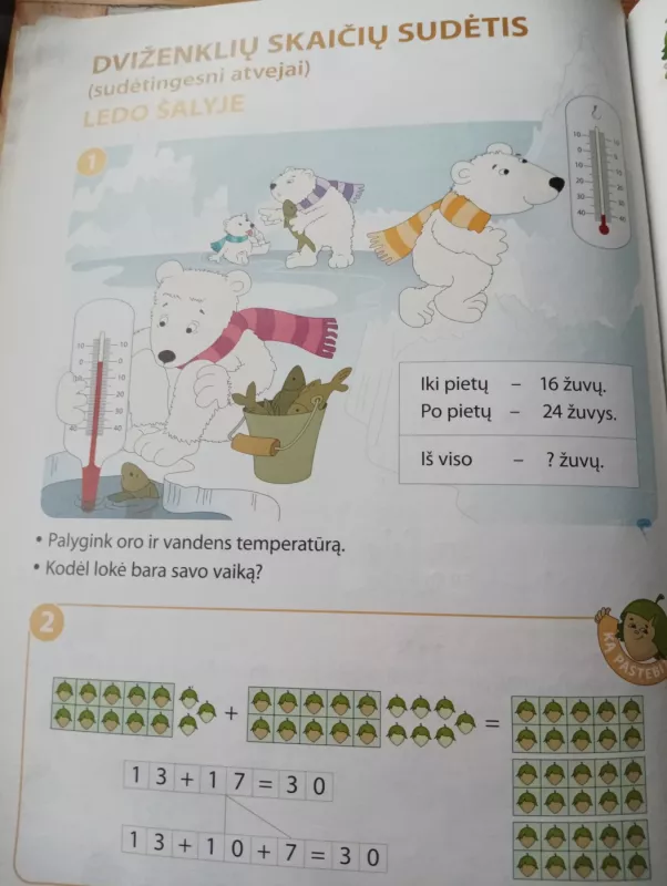 RIEŠUTAS - Salomėja Žeknienė, Jolanta  Žvirblienė, knyga 3