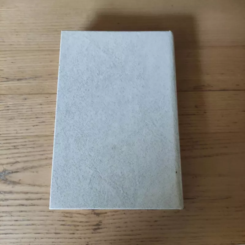 Užuovėja. Išėjusiems negrįžti - Marius Katiliškis, knyga 3