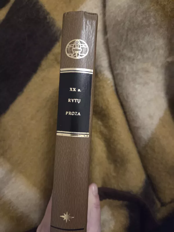 XX a. Rytų proza - Autorių Kolektyvas, knyga 4