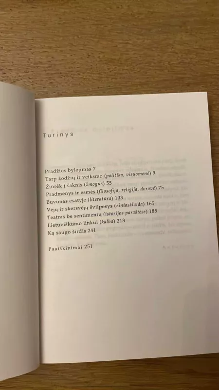 Kam šypsosi rytdienos saulė - Gintautas Iešmantas, knyga 6