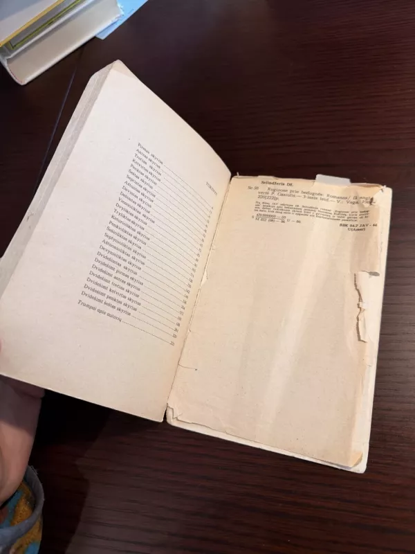 Rugiuose prie bedugnės - Džeromas Selindžeris, knyga 5