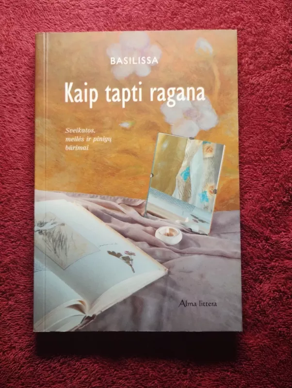 Kaip tapti ragana - Autorių Kolektyvas, knyga 2