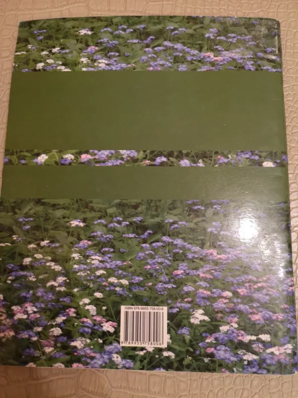 Teksto suvokimo ir kūrimo užduotys - Izabelė Ūsienė, knyga 3