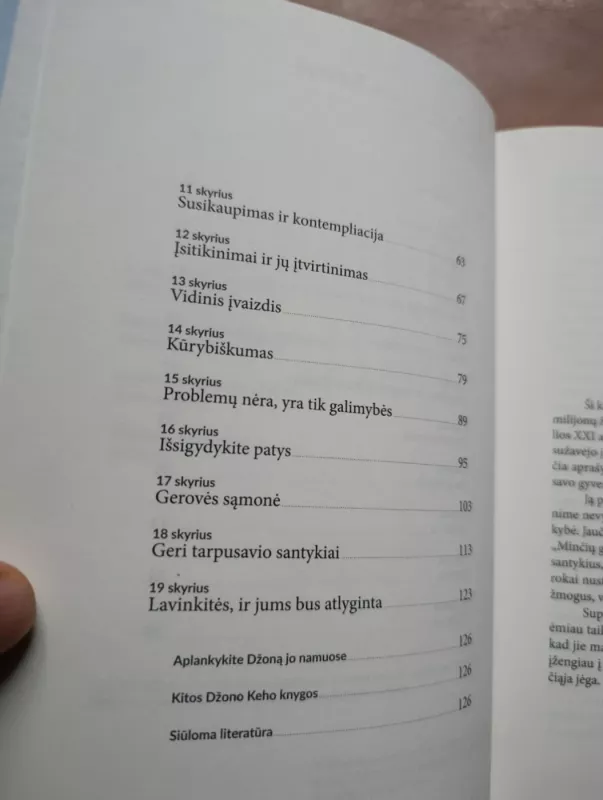 Minčių galios XXI amžiuje - Kehoe John, knyga 6