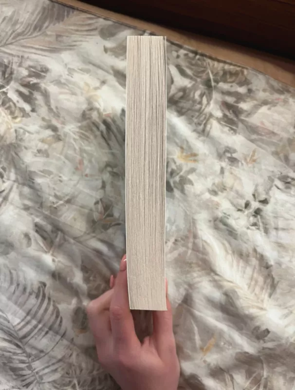 Done and Dusted - Lyla Sage, knyga 4