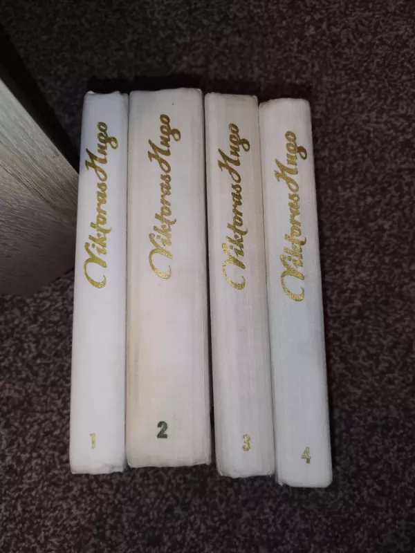 Vargdieniai (4 knygos) - Viktoras Hugo, knyga 3