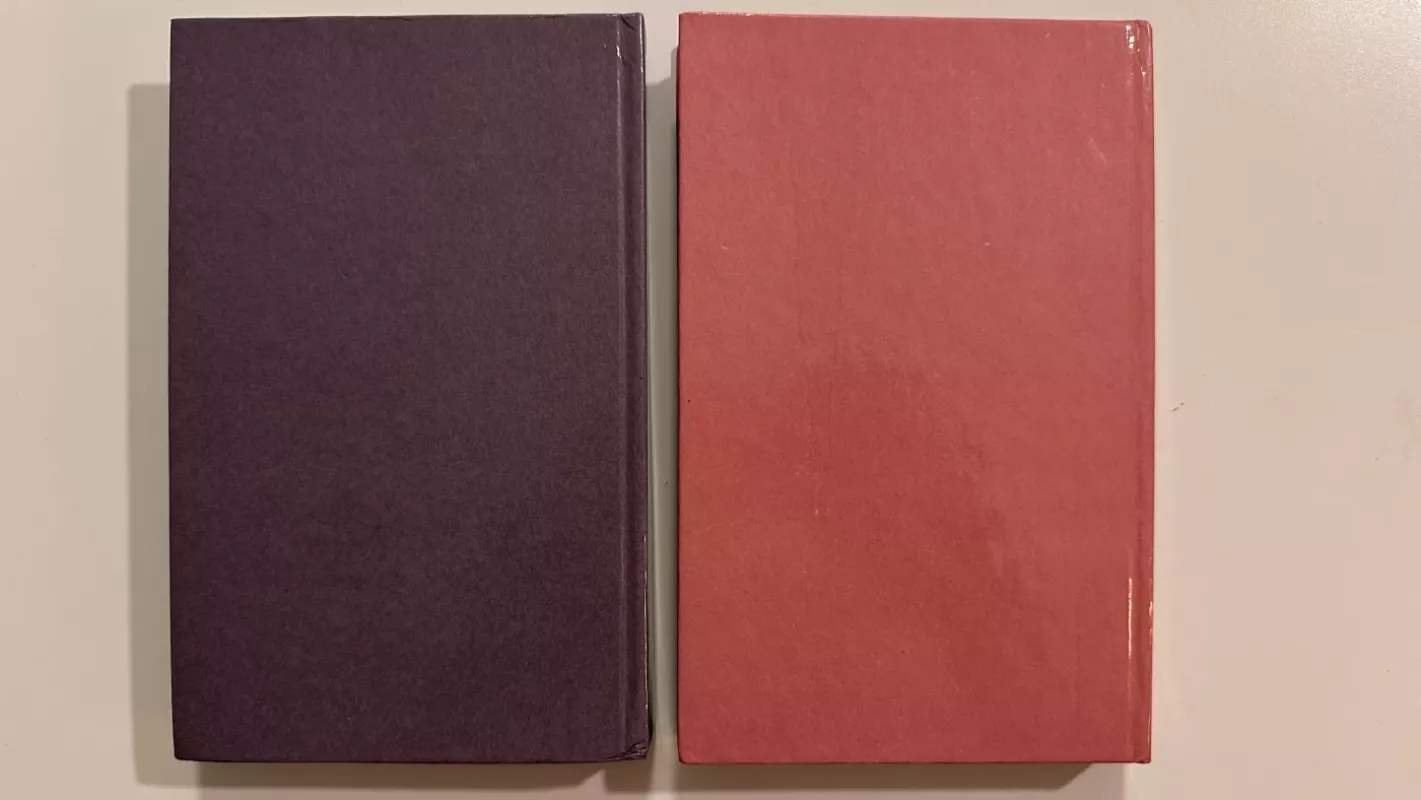 Grafienė de Monsoro (2 tomai) - Aleksandras Diuma, knyga 6